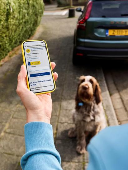 auto verkopen website